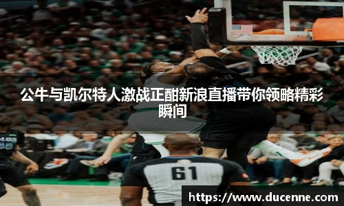 公牛与凯尔特人激战正酣新浪直播带你领略精彩瞬间